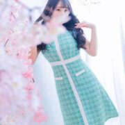 ヒメ日記 2025/06/23 16:00 投稿 すい やんちゃな子猫日本橋本店