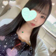 ヒメ日記 2025/06/24 00:55 投稿 すい やんちゃな子猫日本橋本店