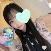 ヒメ日記 2025/06/24 07:00 投稿 すい やんちゃな子猫日本橋本店