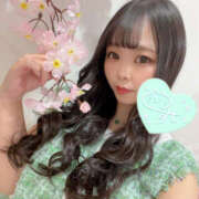 ヒメ日記 2025/06/24 10:00 投稿 すい やんちゃな子猫日本橋本店