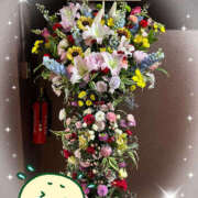 ヒメ日記 2025/06/25 08:00 投稿 すい やんちゃな子猫日本橋本店