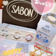 ヒメ日記 2025/06/27 10:00 投稿 すい やんちゃな子猫日本橋本店