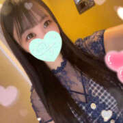 ヒメ日記 2025/06/28 08:46 投稿 すい やんちゃな子猫日本橋本店