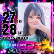 ヒメ日記 2025/06/28 10:00 投稿 すい やんちゃな子猫日本橋本店