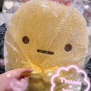 ヒメ日記 2025/06/29 02:55 投稿 すい やんちゃな子猫日本橋本店