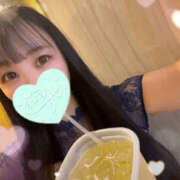 ヒメ日記 2025/06/29 03:23 投稿 すい やんちゃな子猫日本橋本店