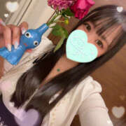 ヒメ日記 2025/06/29 13:00 投稿 すい やんちゃな子猫日本橋本店