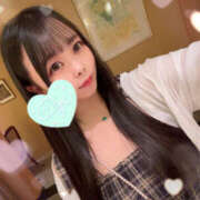 ヒメ日記 2025/07/01 16:16 投稿 すい やんちゃな子猫日本橋本店