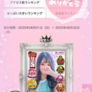 ヒメ日記 2025/07/02 07:00 投稿 すい やんちゃな子猫日本橋本店