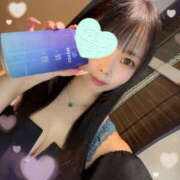 ヒメ日記 2025/07/02 11:00 投稿 すい やんちゃな子猫日本橋本店