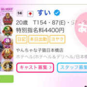 ヒメ日記 2025/07/03 02:15 投稿 すい やんちゃな子猫日本橋本店