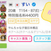 ヒメ日記 2025/07/03 06:03 投稿 すい やんちゃな子猫日本橋本店