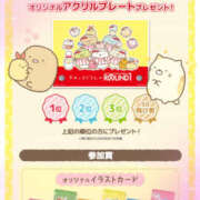 ヒメ日記 2025/07/04 05:30 投稿 すい やんちゃな子猫日本橋本店