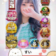 ヒメ日記 2025/07/04 23:59 投稿 すい やんちゃな子猫日本橋本店