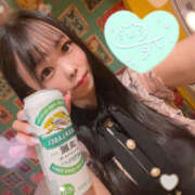 ヒメ日記 2025/07/05 02:22 投稿 すい やんちゃな子猫日本橋本店