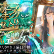 ヒメ日記 2025/07/05 04:00 投稿 すい やんちゃな子猫日本橋本店