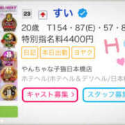ヒメ日記 2025/07/05 14:00 投稿 すい やんちゃな子猫日本橋本店