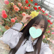 ヒメ日記 2025/07/07 09:00 投稿 すい やんちゃな子猫日本橋本店