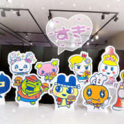 ヒメ日記 2025/07/07 12:00 投稿 すい やんちゃな子猫日本橋本店