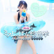 ヒメ日記 2025/07/08 02:27 投稿 すい やんちゃな子猫日本橋本店