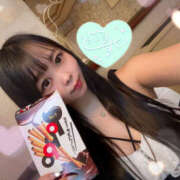 ヒメ日記 2025/07/09 11:00 投稿 すい やんちゃな子猫日本橋本店