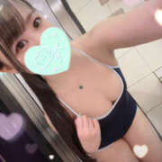 ヒメ日記 2025/07/09 12:00 投稿 すい やんちゃな子猫日本橋本店