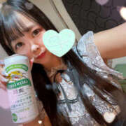 ヒメ日記 2025/07/10 01:54 投稿 すい やんちゃな子猫日本橋本店