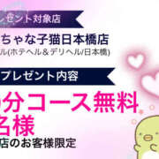 ヒメ日記 2025/07/10 05:00 投稿 すい やんちゃな子猫日本橋本店