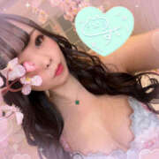 ヒメ日記 2025/07/10 09:00 投稿 すい やんちゃな子猫日本橋本店