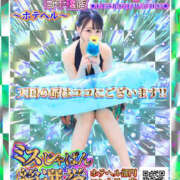 ヒメ日記 2025/07/11 07:00 投稿 すい やんちゃな子猫日本橋本店