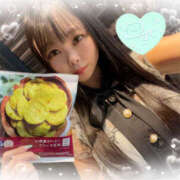 ヒメ日記 2025/07/11 09:00 投稿 すい やんちゃな子猫日本橋本店