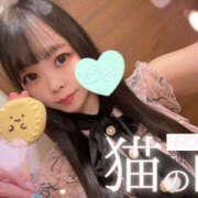 ヒメ日記 2025/07/12 08:00 投稿 すい やんちゃな子猫日本橋本店