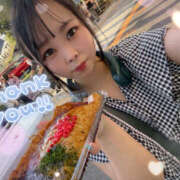 ヒメ日記 2025/07/15 06:00 投稿 すい やんちゃな子猫日本橋本店