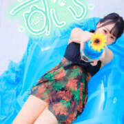 ヒメ日記 2025/07/20 16:09 投稿 すい やんちゃな子猫日本橋本店