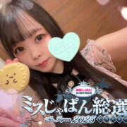 ヒメ日記 2025/07/21 06:58 投稿 すい やんちゃな子猫日本橋本店