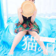 ヒメ日記 2025/07/22 08:00 投稿 すい やんちゃな子猫日本橋本店