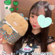 ヒメ日記 2025/07/23 04:11 投稿 すい やんちゃな子猫日本橋本店