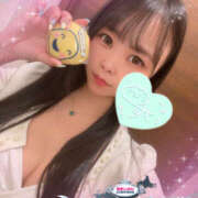 ヒメ日記 2025/07/23 07:57 投稿 すい やんちゃな子猫日本橋本店