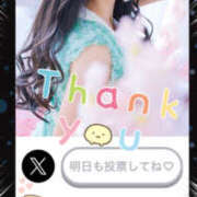 ヒメ日記 2025/07/24 02:37 投稿 すい やんちゃな子猫日本橋本店