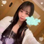 ヒメ日記 2025/07/24 18:43 投稿 すい やんちゃな子猫日本橋本店