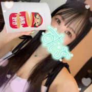 ヒメ日記 2025/07/26 08:00 投稿 すい やんちゃな子猫日本橋本店