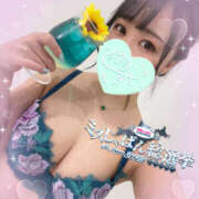 ヒメ日記 2025/07/26 11:00 投稿 すい やんちゃな子猫日本橋本店