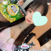 ヒメ日記 2025/07/27 16:12 投稿 すい やんちゃな子猫日本橋本店