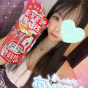 ヒメ日記 2025/08/02 05:00 投稿 すい やんちゃな子猫日本橋本店