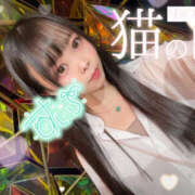 ヒメ日記 2025/08/02 07:00 投稿 すい やんちゃな子猫日本橋本店