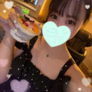 ヒメ日記 2025/08/03 09:18 投稿 すい やんちゃな子猫日本橋本店