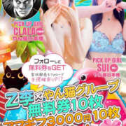 ヒメ日記 2025/08/03 10:00 投稿 すい やんちゃな子猫日本橋本店