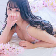 ヒメ日記 2025/08/07 03:42 投稿 すい やんちゃな子猫日本橋本店