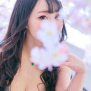 ヒメ日記 2025/08/07 10:21 投稿 すい やんちゃな子猫日本橋本店