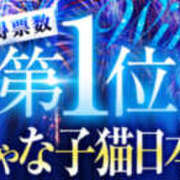 ヒメ日記 2025/08/09 03:46 投稿 すい やんちゃな子猫日本橋本店